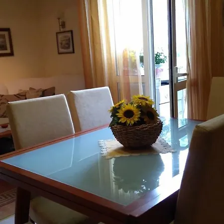 Guest house Apartment Tatjana Vis